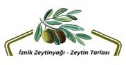 İznik Zeytinyağı - Zeytin Tarlası  - Bursa